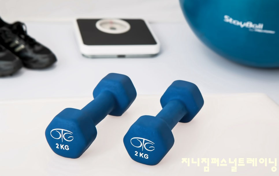 퍼스널트레이닝지니 이미지