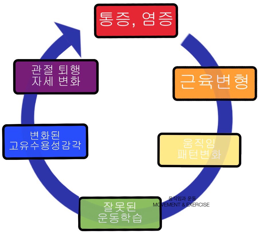 움직임스타 이미지