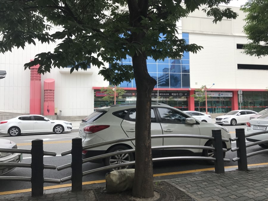 보르미네일 이미지