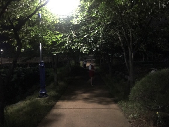 주경야술 이미지