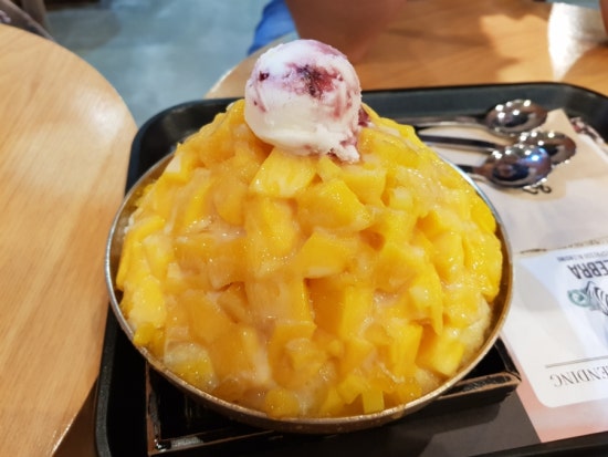 엘가커피 이미지