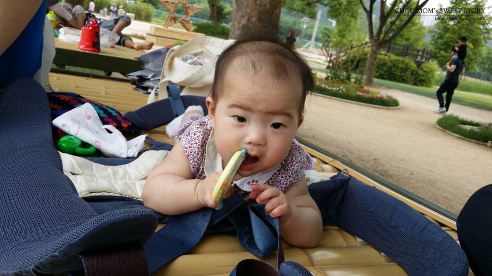 콩이통신 이미지