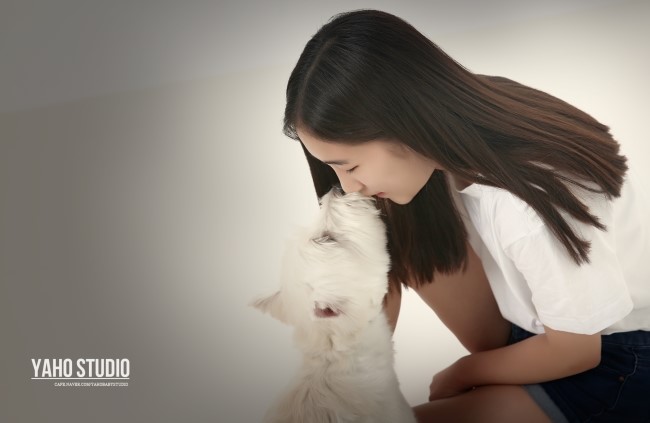 하이야호 이미지