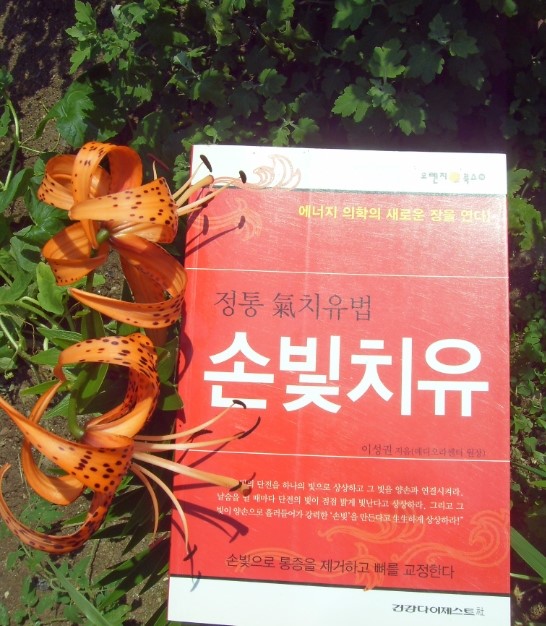 신비한약손 이미지