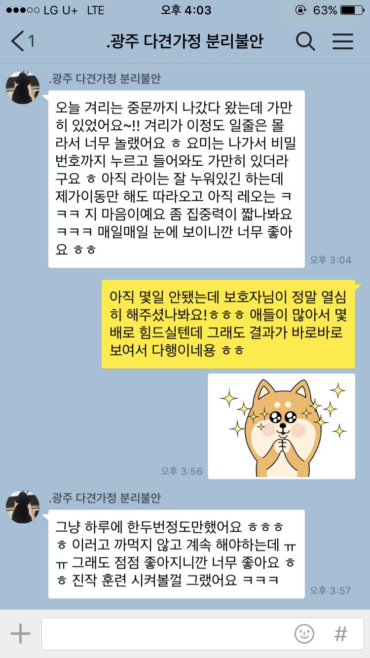 해피독반려견방문교육 이미지