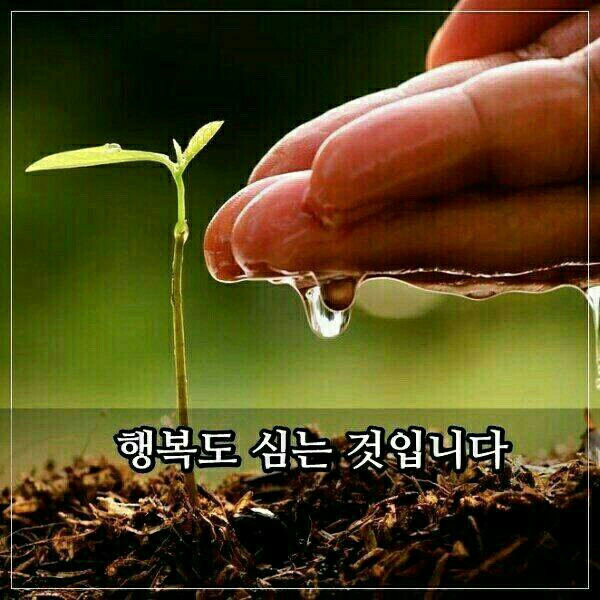 통일초등학교 이미지