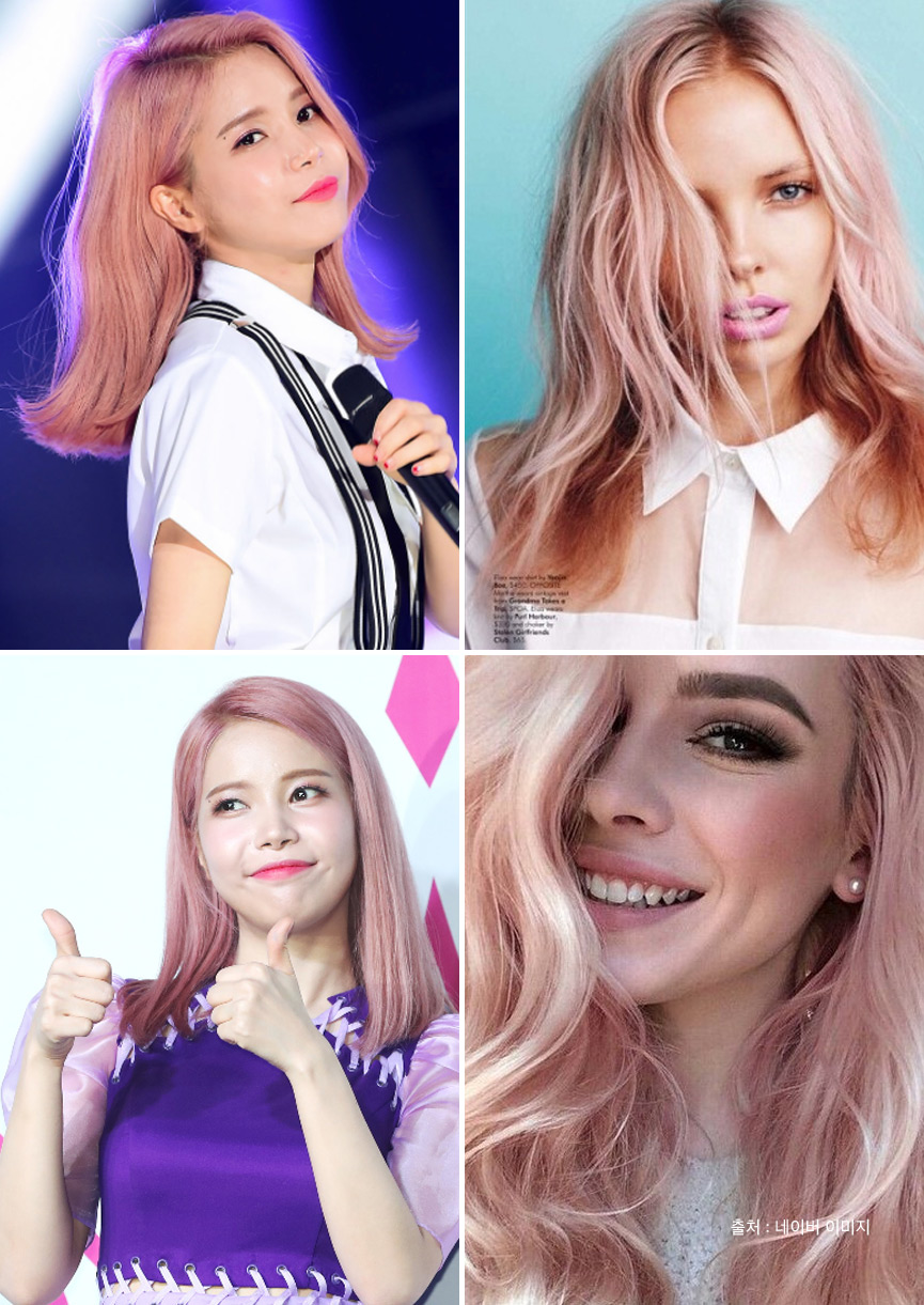 솔리헤어 이미지