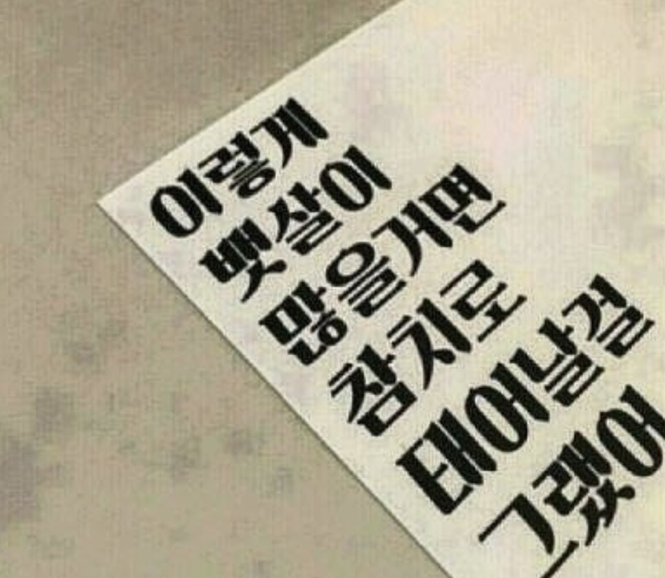 고래야,참치야! 이미지