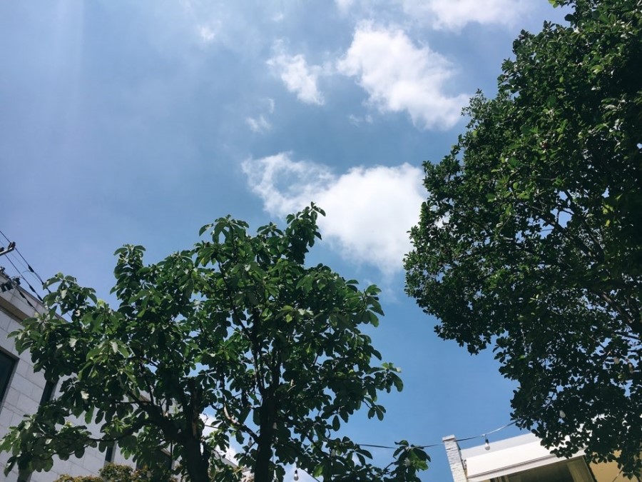 명동칼국수샤브샤브 이미지
