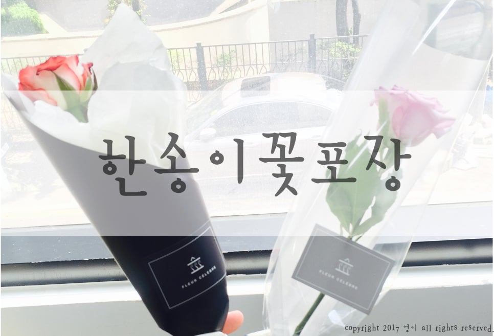 플레어셀레브 이미지