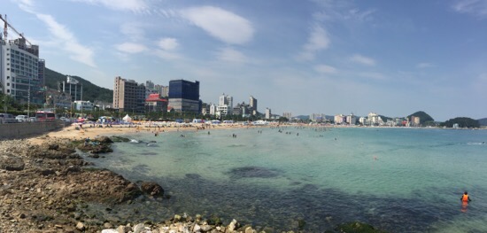 카페뉴벨 이미지
