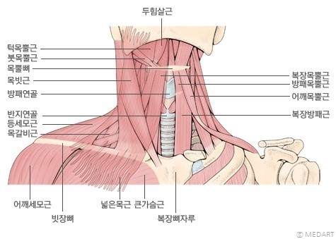 클린짐휘트니스 이미지