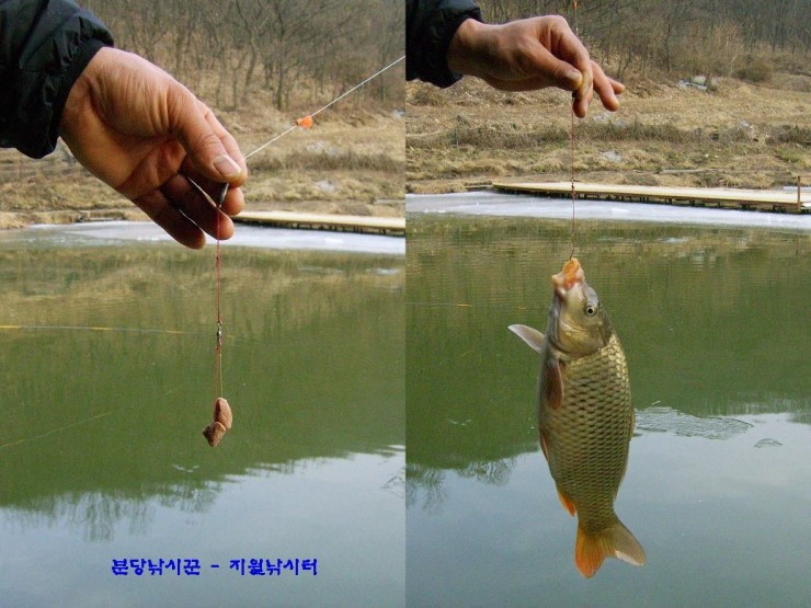 강마을낚시 이미지