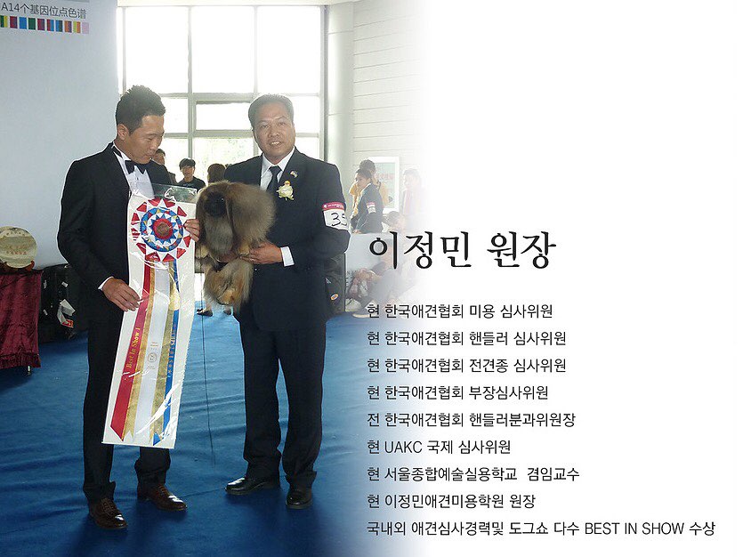 이정민애견미용학원 이미지
