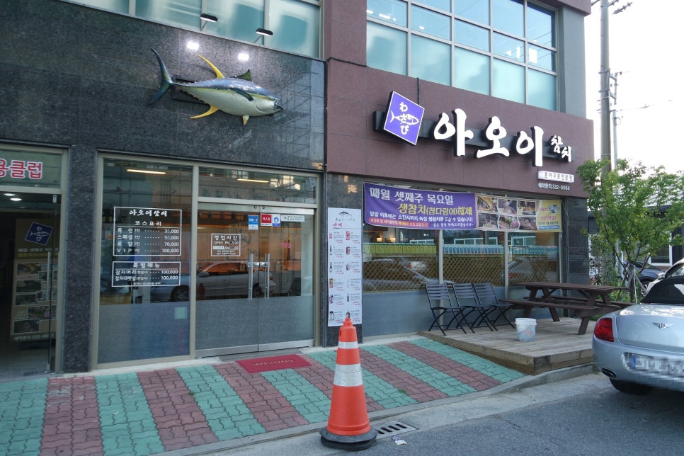 아오이참치 이미지