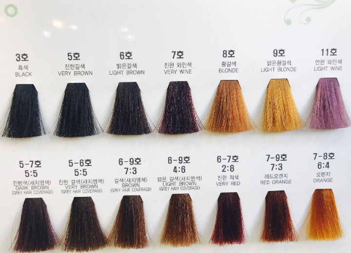 엘샤론코리아 이미지