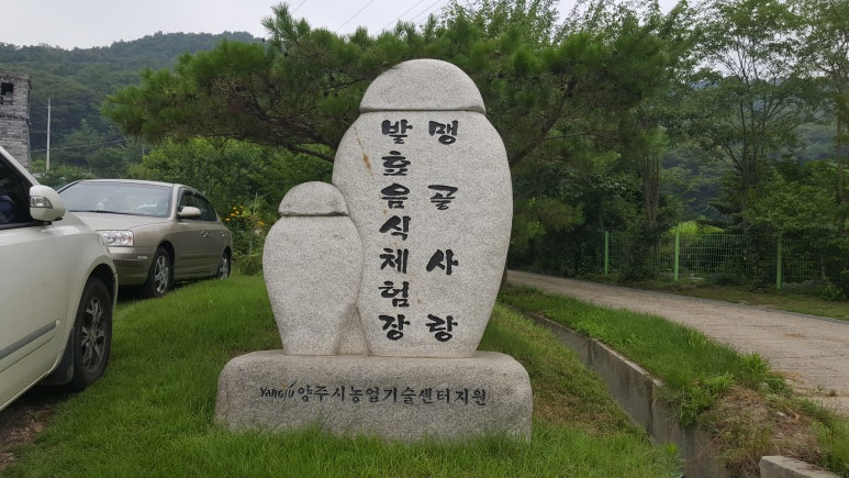 맹골사랑 이미지
