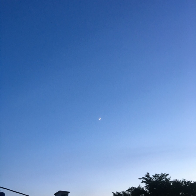 한방돼지촌 이미지