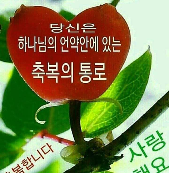 축복의통로 이미지