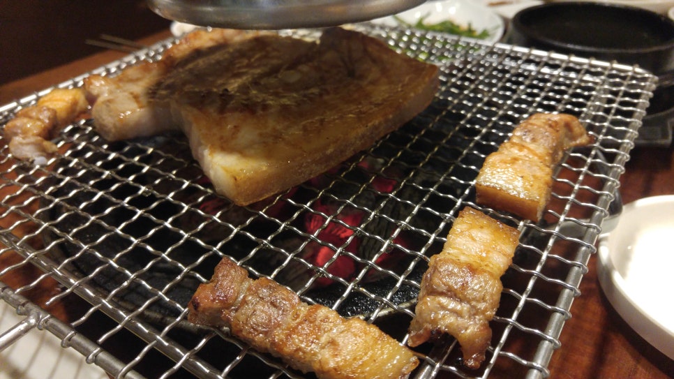 돼지30 이미지