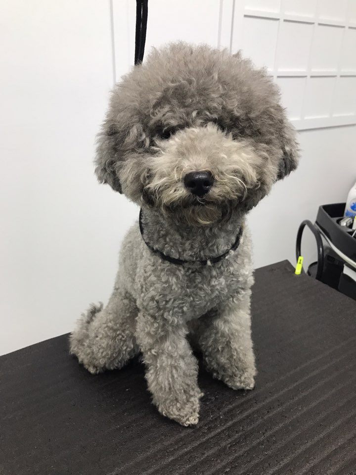 몽이미용실 이미지