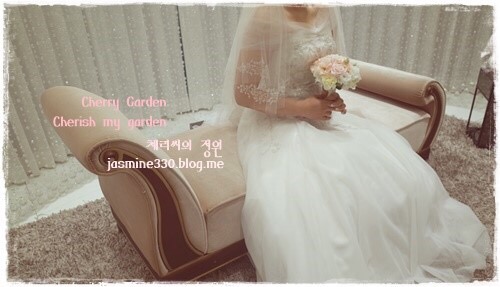 요기나라판다 이미지