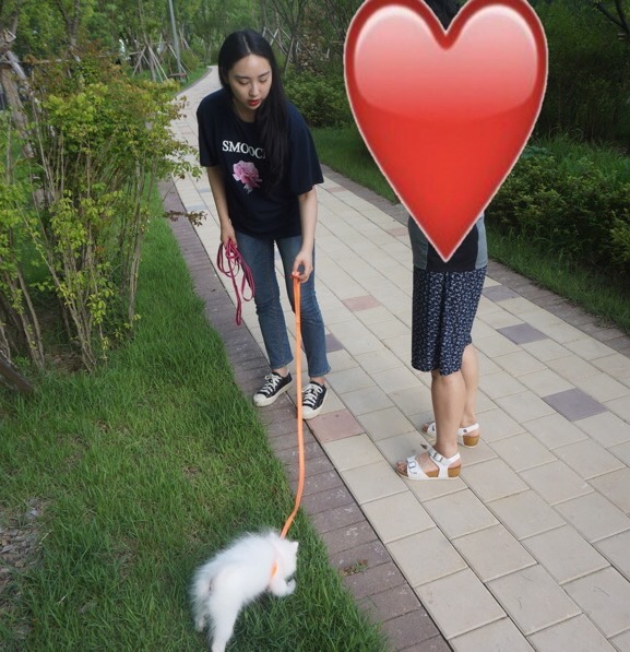 해피독반려견방문교육 이미지