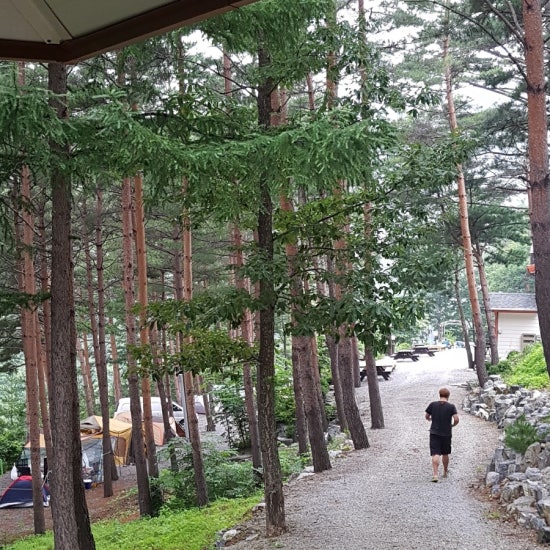 물내치기 이미지