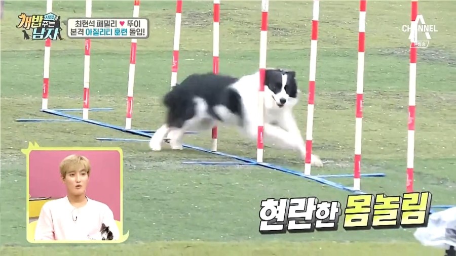 굿프랜드 이미지