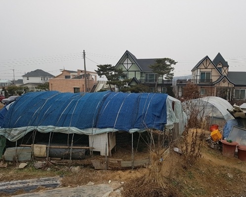 공주옥션 이미지