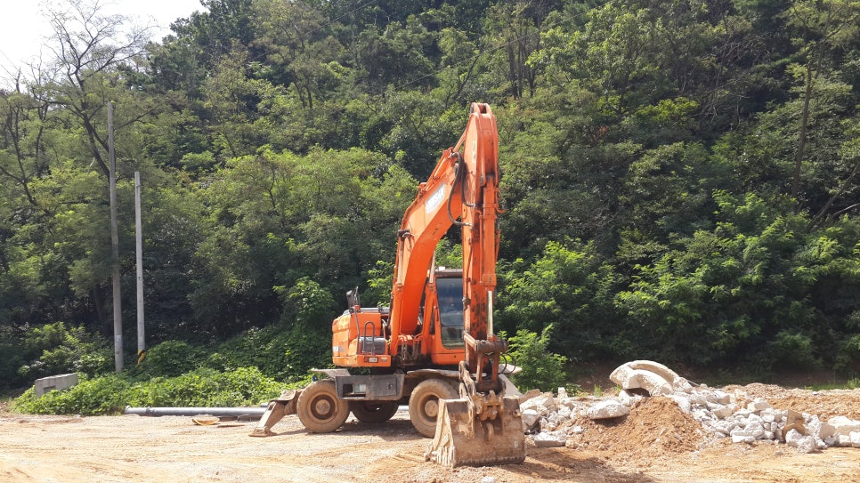 지구구제 이미지