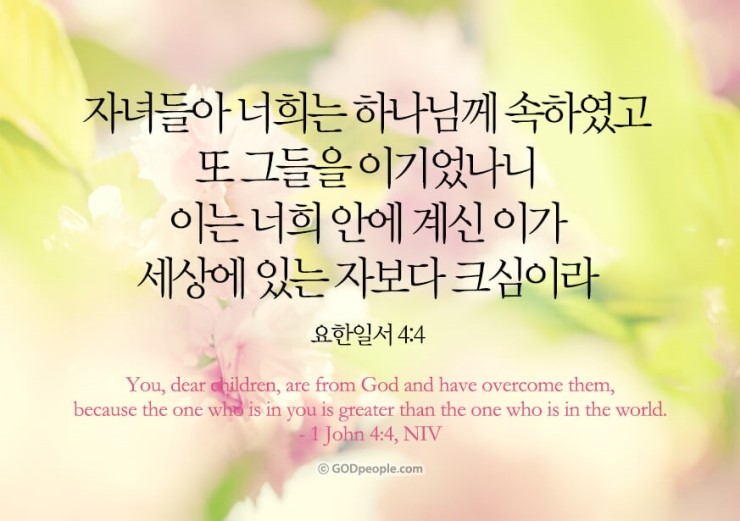 인느 이미지