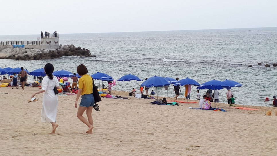 경포대오션 이미지