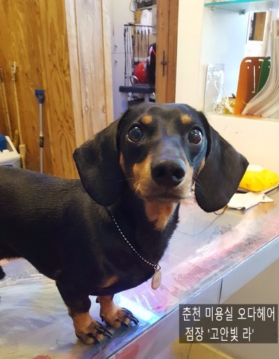 오다헤어우두점 이미지