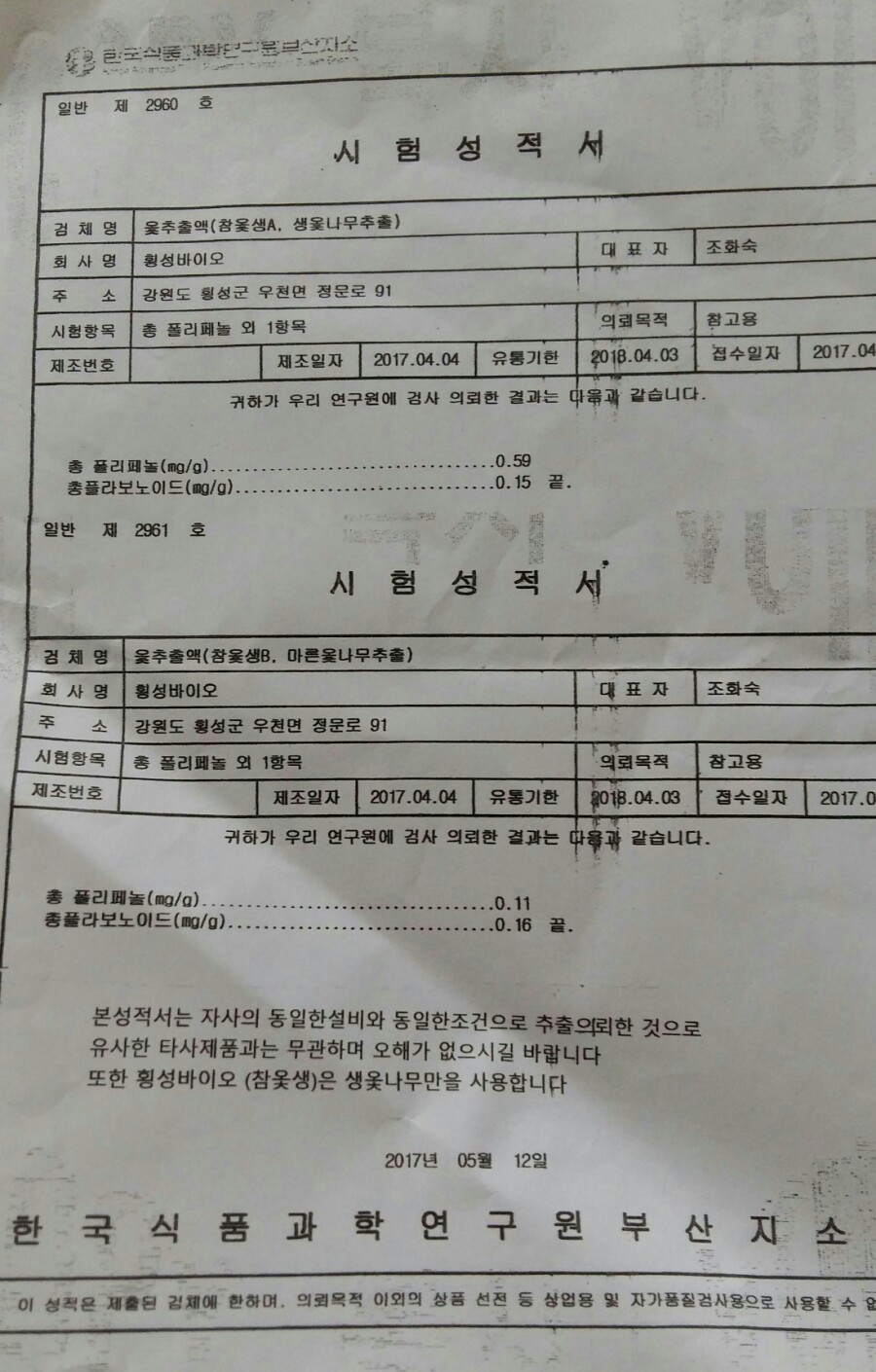 횡성참옻 이미지