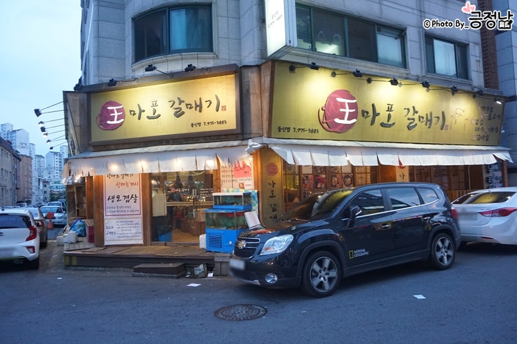 왕마포갈매기 이미지