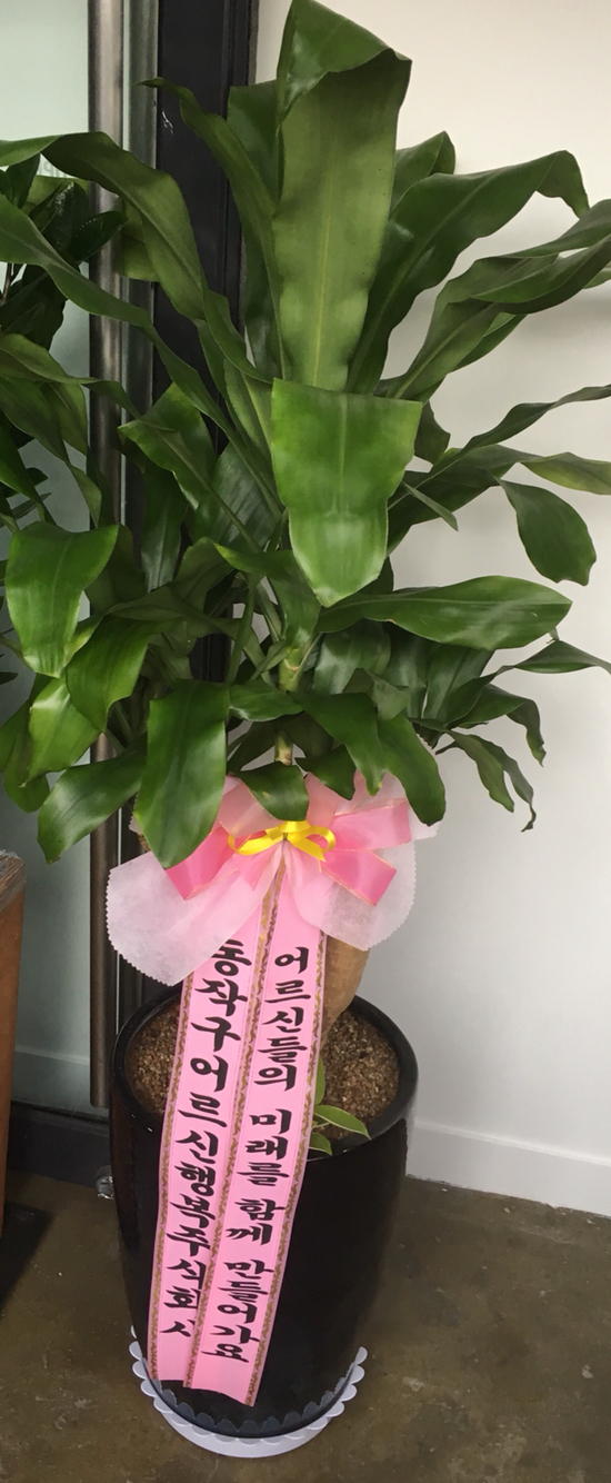 주식회사 미래 이미지