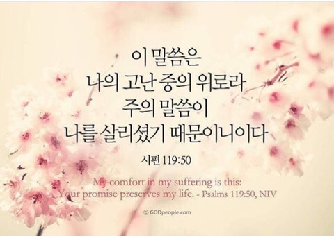 히즈윌 이미지
