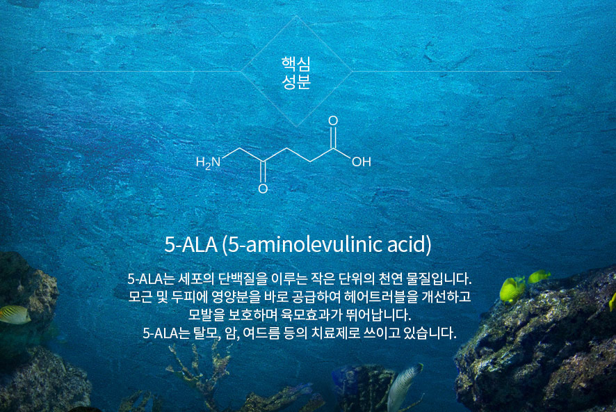 리치헤어 이미지