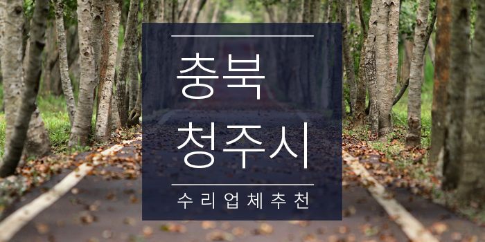 원일자동차공업사 이미지