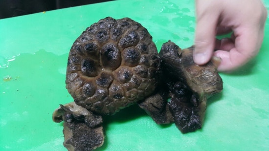 고향송어닭집 이미지