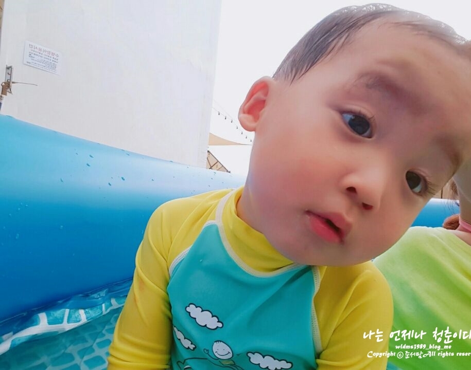 퍼니테일 이미지