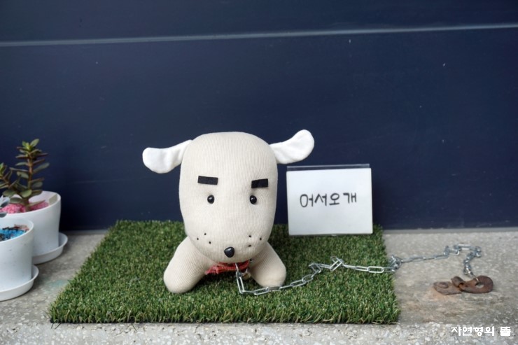 육림상회 이미지