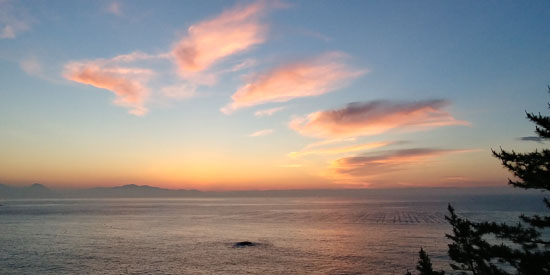 돌산농원 이미지
