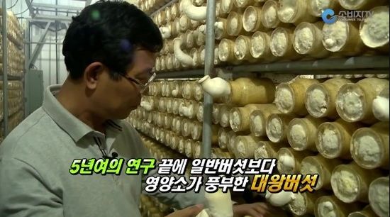 대왕축산 이미지