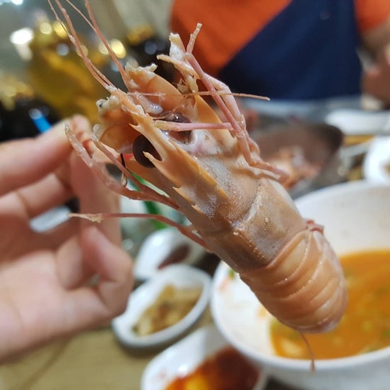 다방넷 이미지