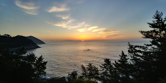 돌산농원 이미지