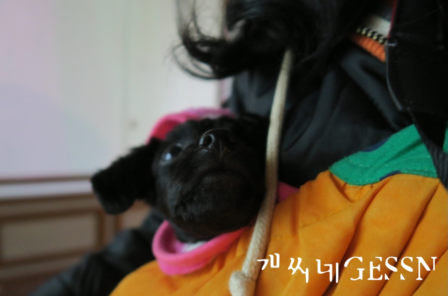 생일이개 이미지