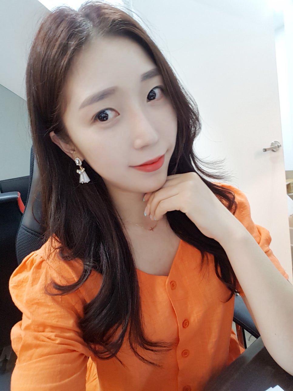 디아노이테 이미지
