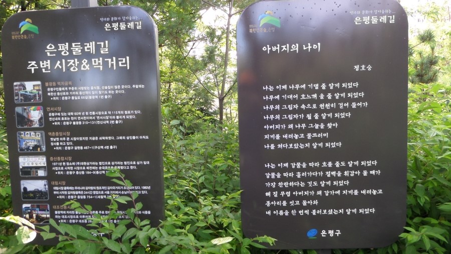 참나무 숲길 이미지